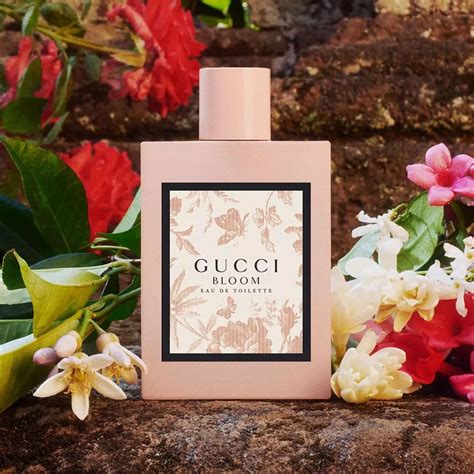 reviews on gucci bloom|gucci bloom smells like.